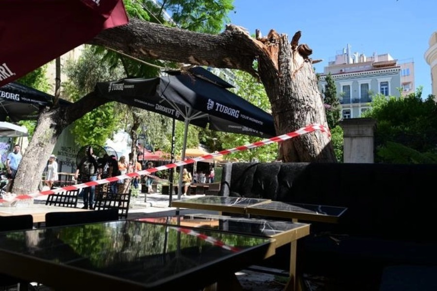 Πτώση δέντρου στο κέντρο της Αθήνας: «Τη γυναίκα την πήραν αιμόφυρτη»