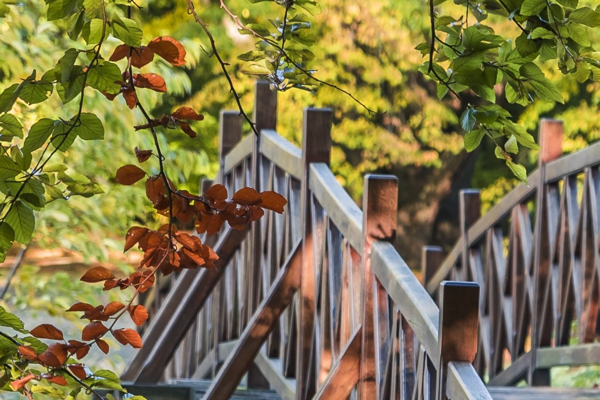 Πού σε πάει η μικρότερη γέφυρα του κόσμου; Σε άλλη χώρα!