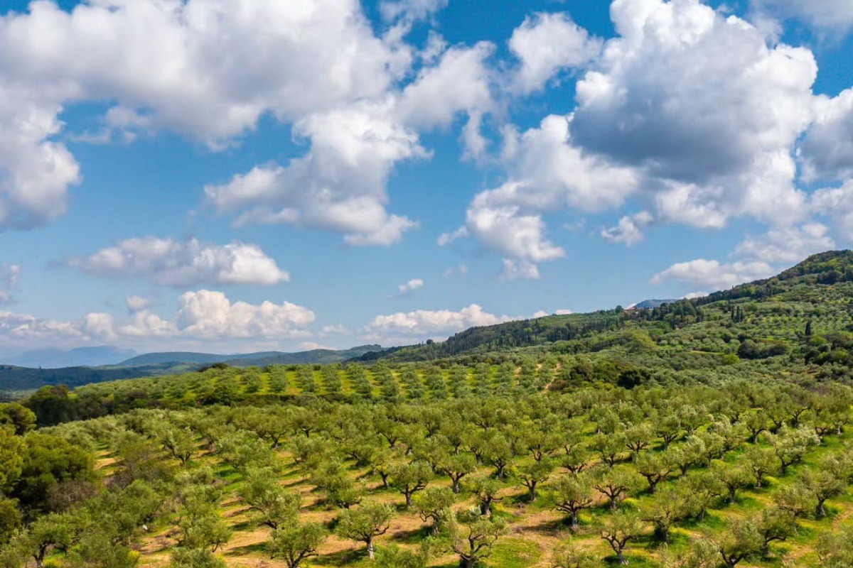 Καλοκαίρι στη Μεσσηνία: Όλα όσα πρέπει να ζήσεις σε ένα ταξίδι γεμάτο εκπλήξεις