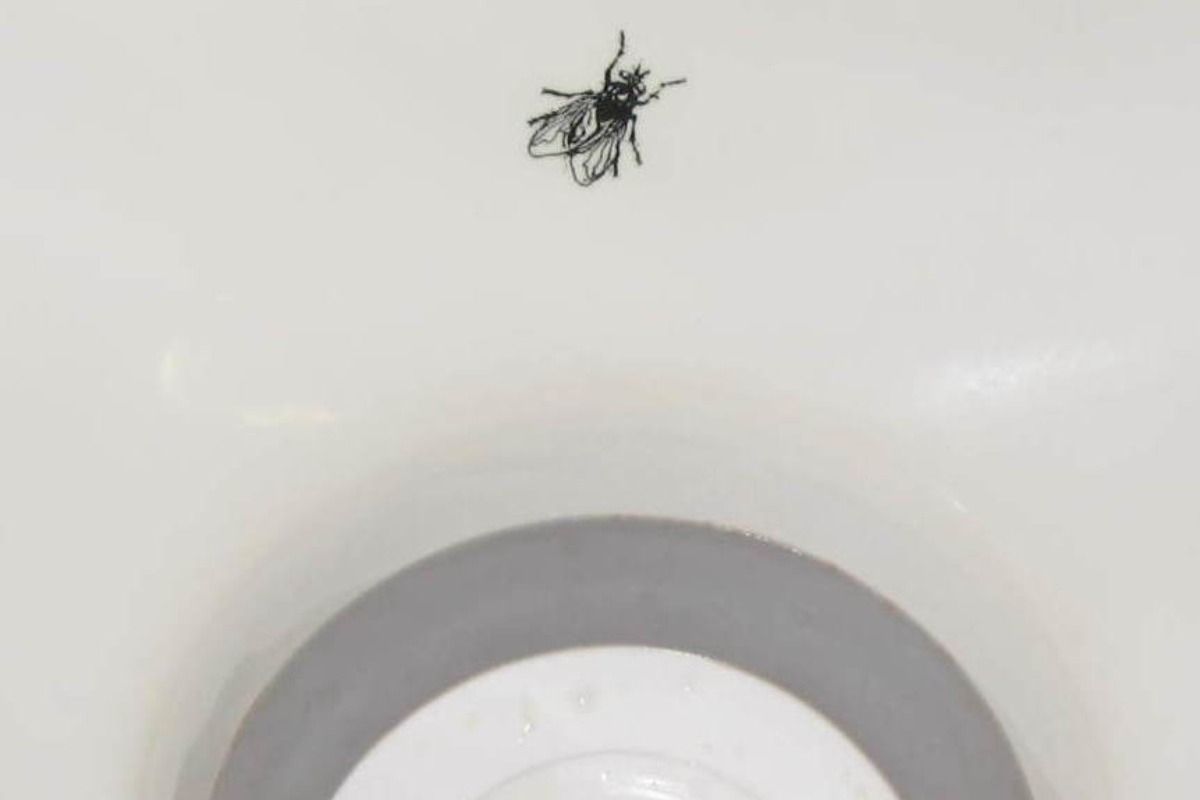 Το πείραμα με τη μύγα των Ολλανδών στις τουαλέτες που... δούλεψε