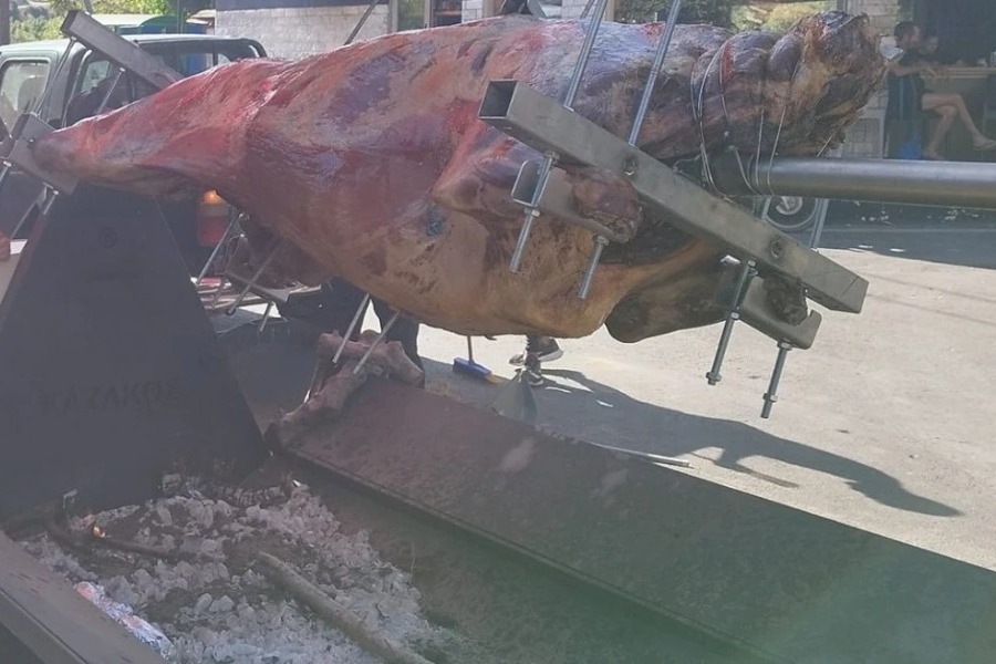 Χανιά: Αντιδράσεις για το σούβλισμα ταύρου στο χωριό της Κισσάμου για την εορτή του Αγίου Πνεύματος