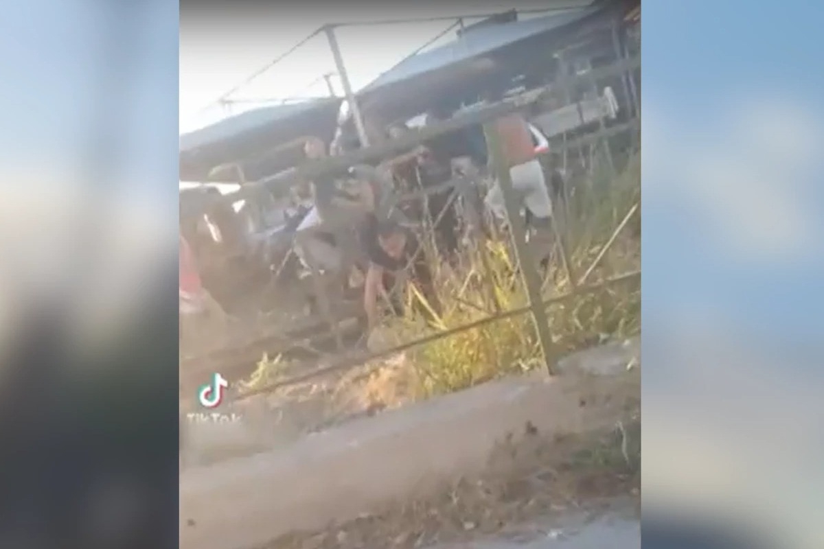 Βίντεο‑ντοκουμέντο με την επίθεση Ρομά σε αστυνομικούς κατά τη διάρκεια ελέγχου – Τους γρονθοκόπησαν και τους δάγκωσαν