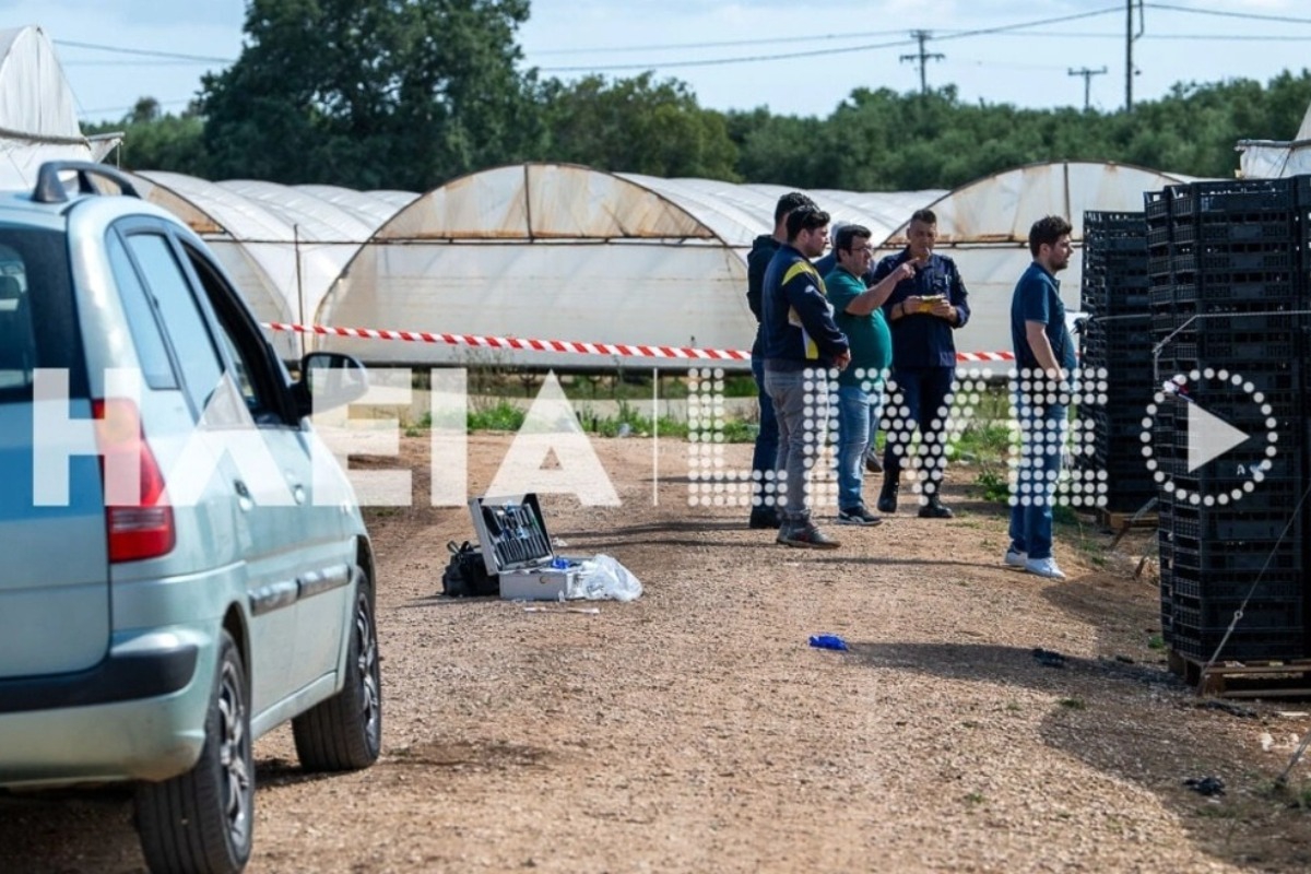 Δολοφονία στη Βάρδα: Πρώτα τον μαχαίρωσε μετά πήγε να… μαζέψει φράουλες – Σοκάρουν οι λεπτομέρειες