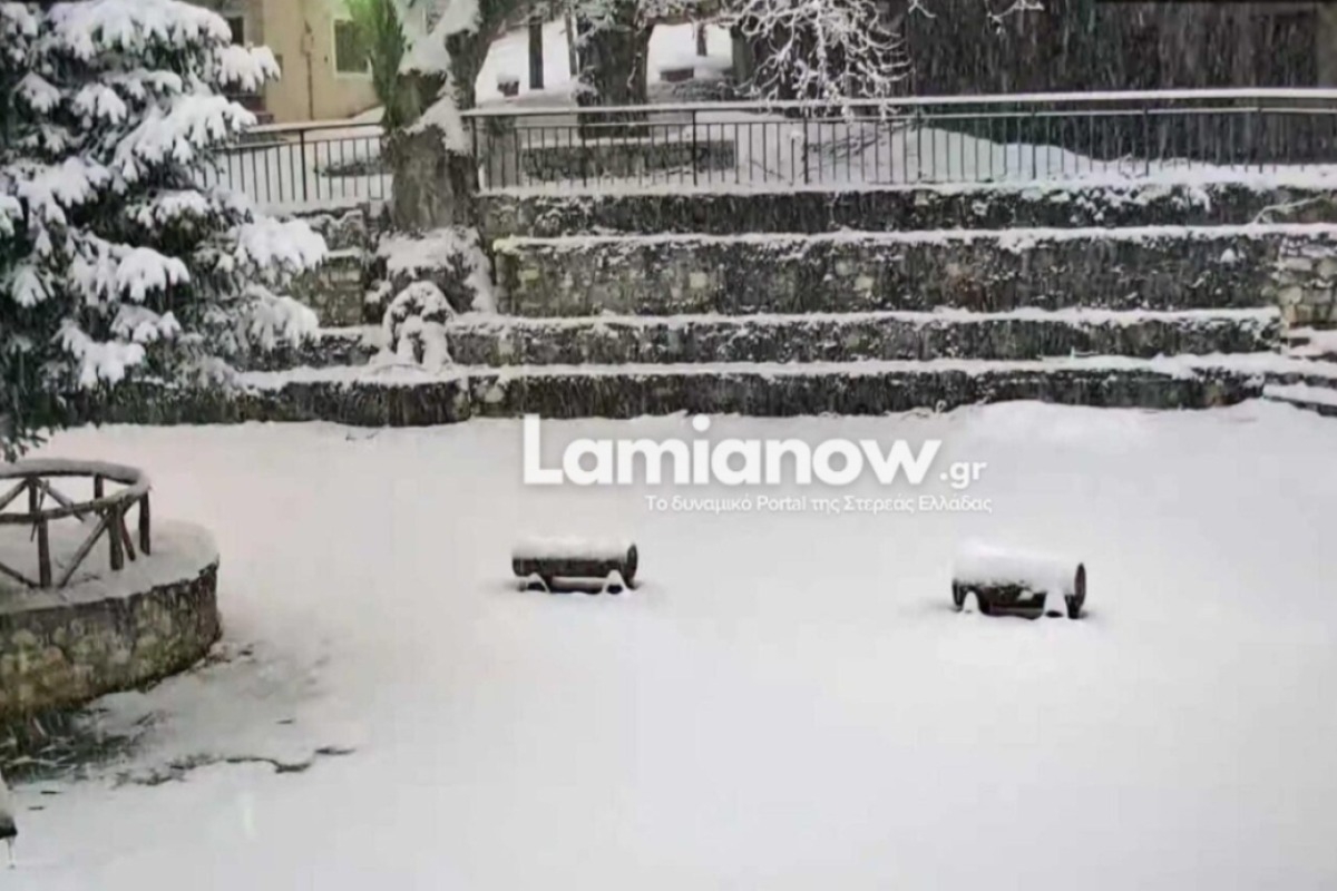 Χωριό της Λαμίας έχει βυθιστεί στο χιόνι ‑ Αδύνατη η πρόσβαση