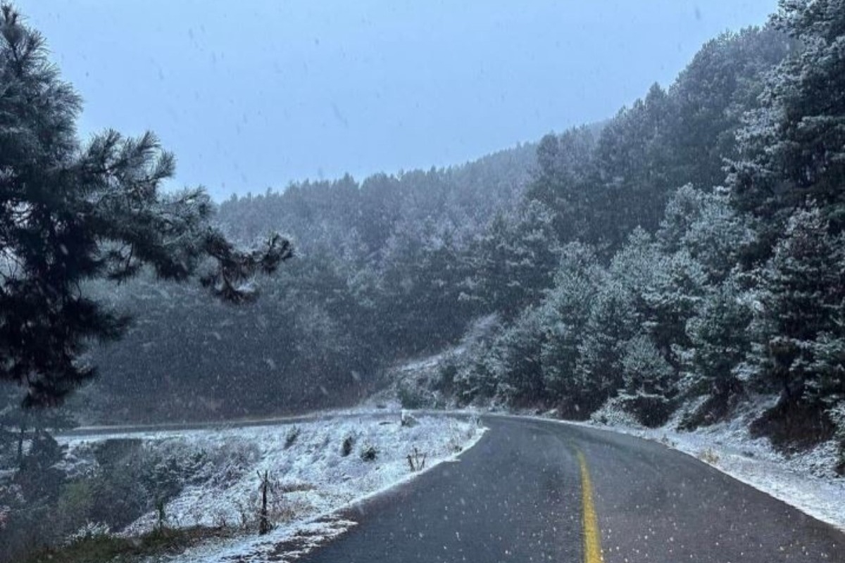 Η Λάρισα στα λευκά: Πρώτα χιόνια και μαγευτικά τοπία σε Ελασσόνα και Προφήτη Ηλία