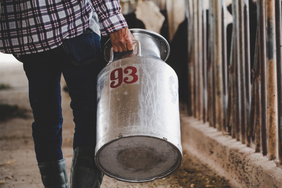 Το πιο βρώμικο μυστικό της γαλακτοβιομηχανίας είναι ακόμα εδώ