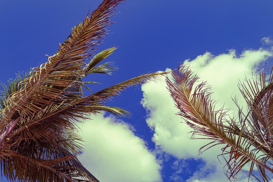 Τα νησιά του Τζέφρι Έπσταϊν: Ποιος τα κατέχει σήμερα και τι κρύβει η σκοτεινή τους ιστορία