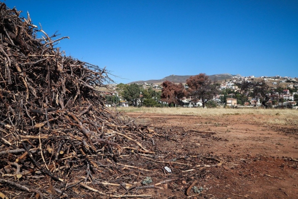 Ακαθάριστα οικόπεδα: Από 1η Απριλίου ξεκινά η προθεσμία καθαρισμού ‑ Τι αλλάζει από φέτος
