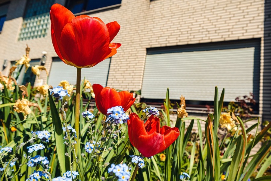 Τα ζώδια σήμερα 25/2: Σήμερα αλλάζουν οι ισορροπίες