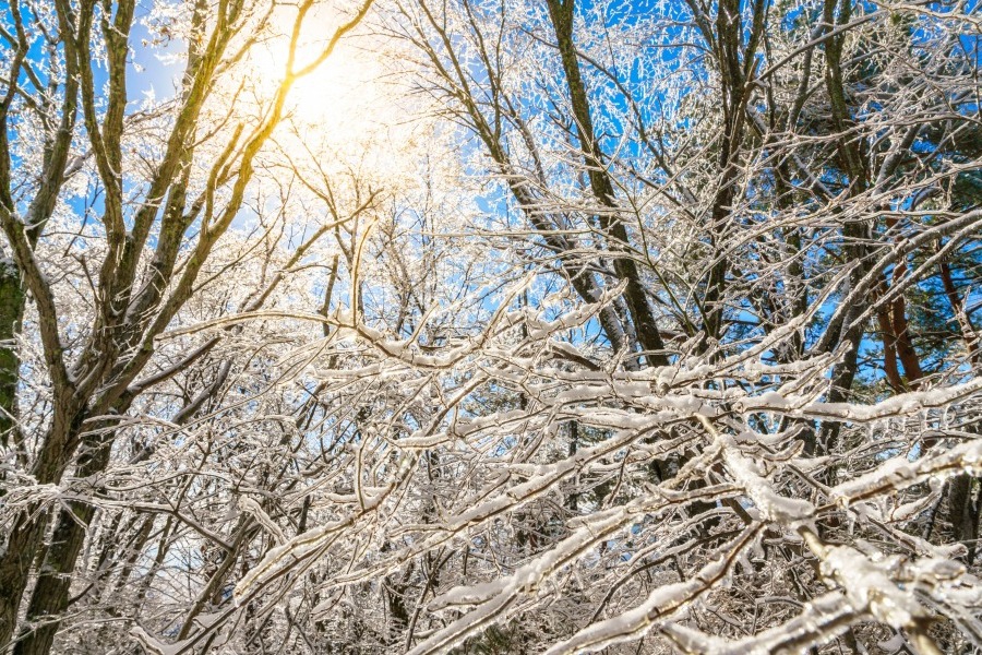 Τα ζώδια σήμερα 20/2: Σκέψου δύο βήματα μπροστά