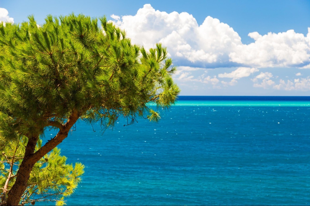 5 όμορφες παραλίες για ημερήσια εκδρομή από την Αθήνα πριν γεμίσουν κόσμο