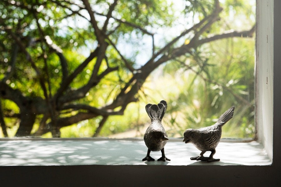 Τα ζώδια σήμερα 9/4: Η μέρα φέρνει κάτι απρόσμενο