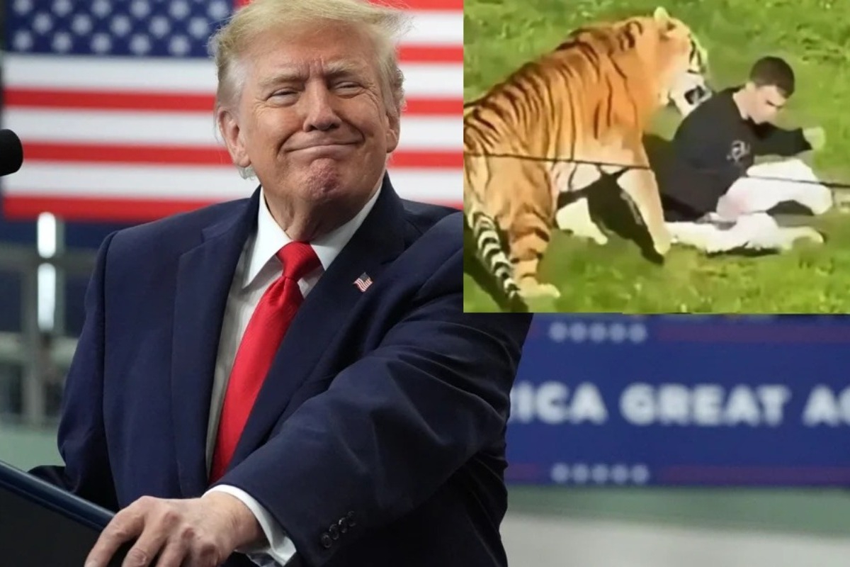 Donald Trump: Πόσταρε το βίντεο της τίγρης που σκότωσε 23χρονο ‑ Έξαλλη η οικογένεια