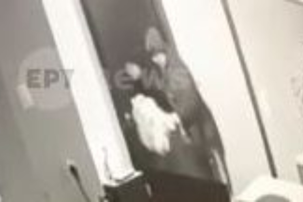 Κυψέλη: Βίντεο με τον 64χρονο να δέρνει τη μητέρα των 25χρονων ΑμεΑ όταν τον έπιασε στα «πράσα»