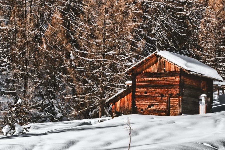 Τα ζώδια σήμερα 27/1: Πες καθαρά τι θες και τι όχι