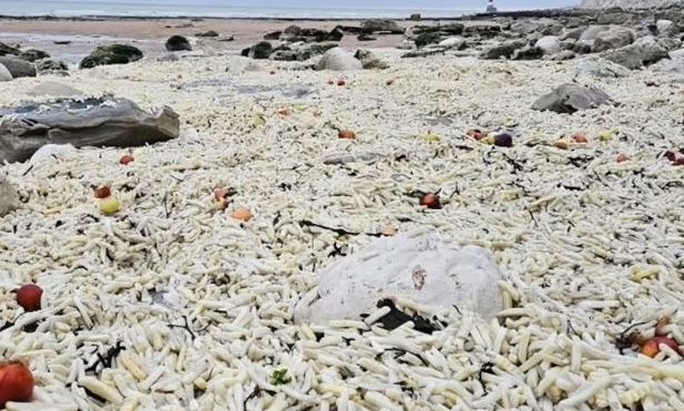 Bρετανία: Χιλιάδες τηγανητές πατάτες ξεβράστηκαν σε παραλία ‑ Το ασυνήθιστο θέαμα