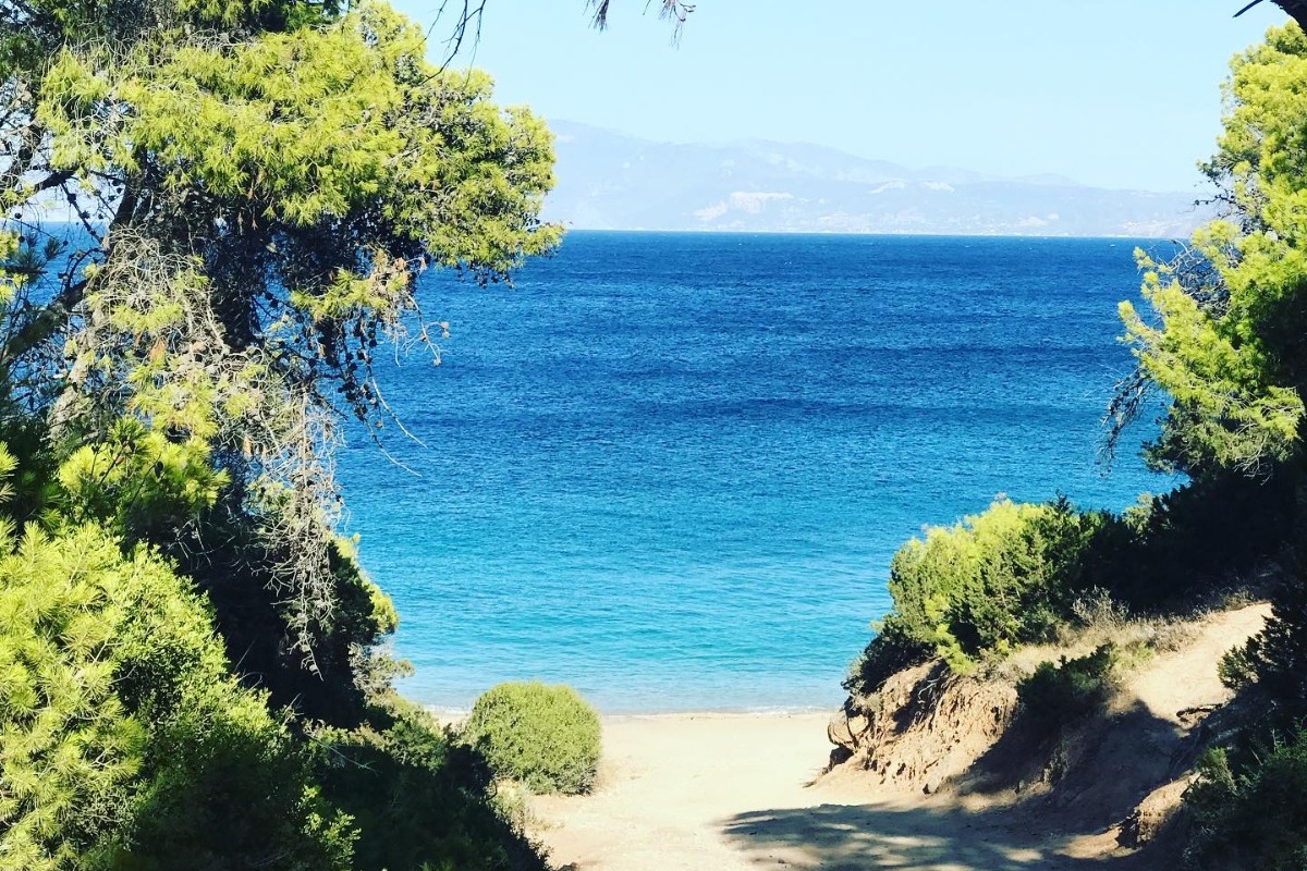 Η κρυφή εξωτική παραλία μόλις 1,5 ώρα από την Αθήνα που μοιάζει με Καραϊβική
