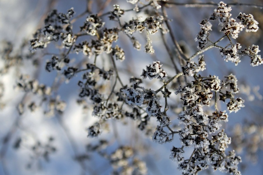 Τα ζώδια σήμερα 19/2: Κάνε κίνηση εκεί που έχει νόημα
