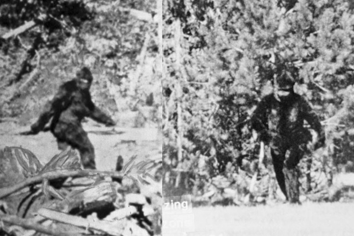 Μεγαλοπόδαρος στο Οχάιο; Ντόπιοι αναφέρουν απόκοσμα ουρλιαχτά και τεράστιες πατημασιές