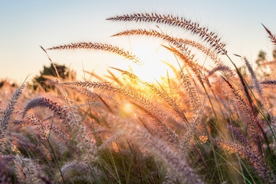 Τα ζώδια σήμερα 27/4: Μην κρύβεις τίποτα σήμερα