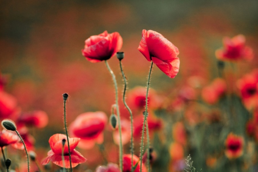 Τα ζώδια σήμερα 18/3: Η μέρα σε καλεί να ρίξεις ρυθμούς