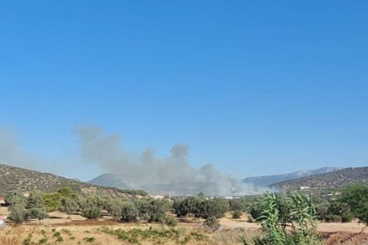 Φωτιά στα Καλύβια ‑ Μεγάλη κινητοποίηση της Πυροσβεστικής