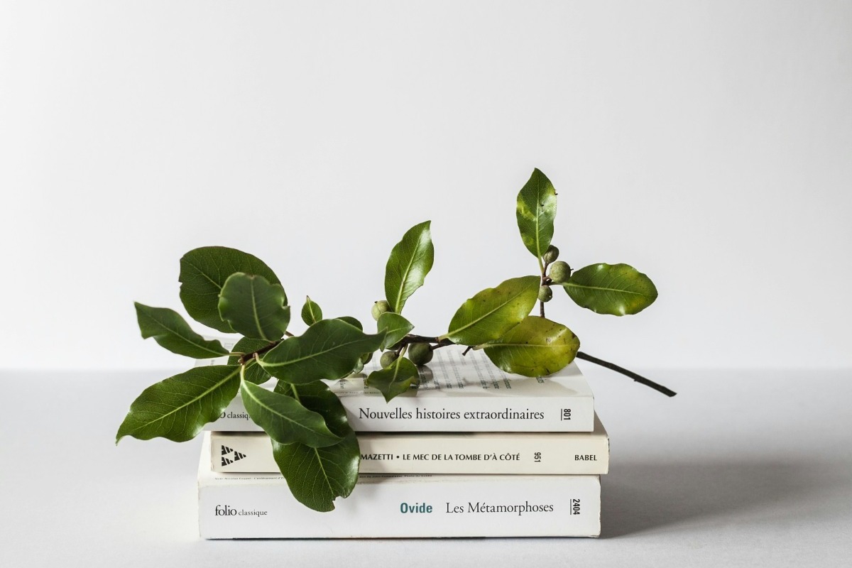 Η μεγάλη επιστροφή του βιβλίου ‑ Γιατί οι πωλήσεις στην Ελλάδα εκτοξεύονται