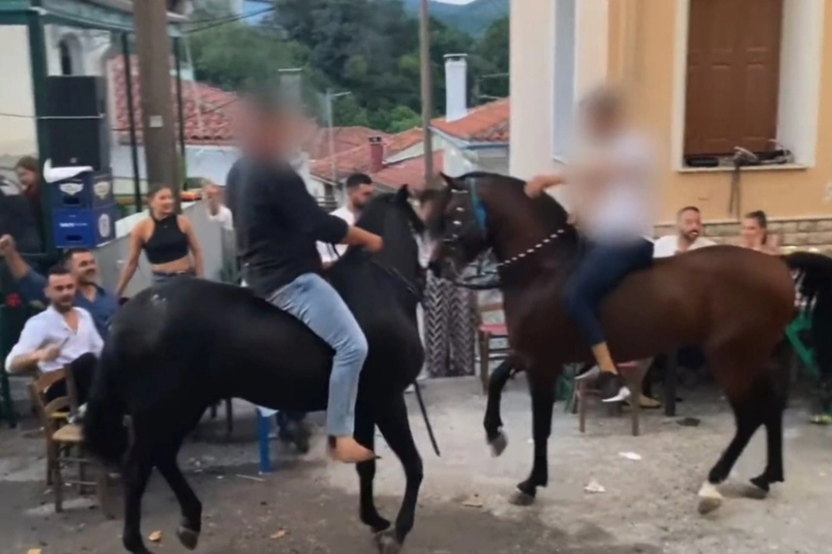 Αλογα σε πανηγύρια της Λέσβου: Η A Promise to Animals απαντά σε όσους θεωρούν την κριτική «επίθεση στον τόπο»