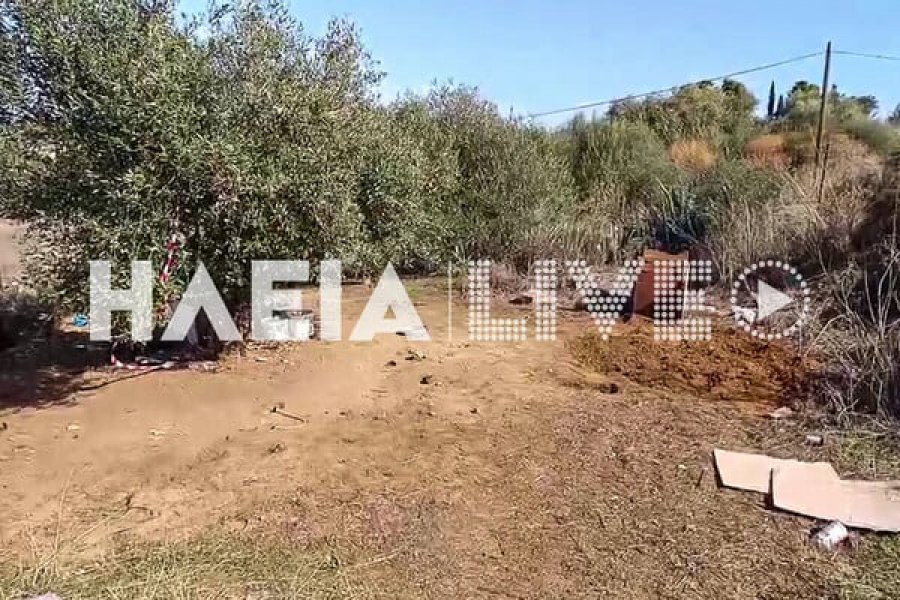 Θρίλερ στην Αμαλιάδα: Δύο αδέλφια έθαψαν τη μητέρα τους σε ξένο χωράφι, δίπλα σε σκύλο