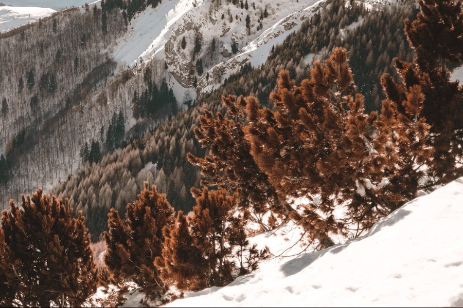 Τα ζώδια σήμερα 13/2: Μια ιδέα σε ενθουσιάζει