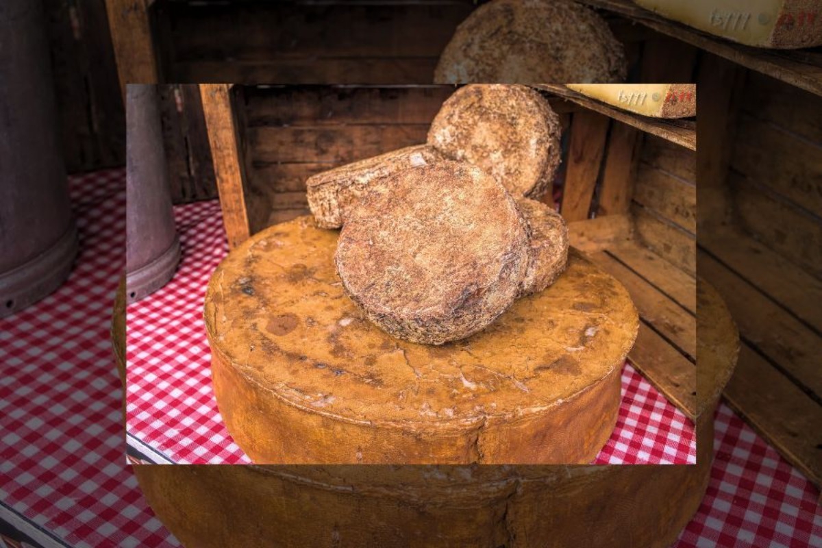 Το παλιαιότερο τυρί του κόσμου ‑ Το απρόσμενο μέρος που βρέθηκε και τι αποκαλύπτει