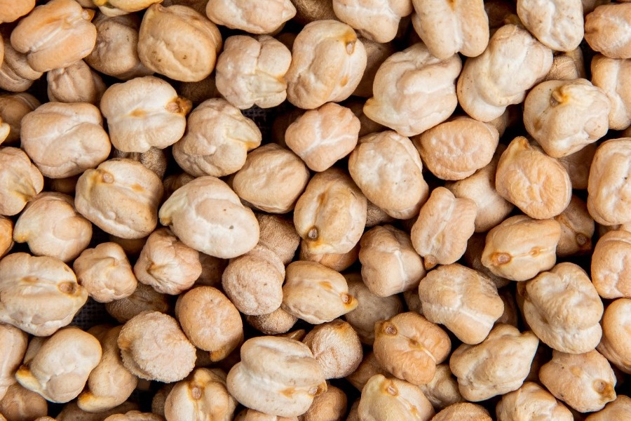 Μπορούν να φυτρώσουν ρεβίθια στη Σελήνη; Το εντυπωσιακό πείραμα που πέτυχε