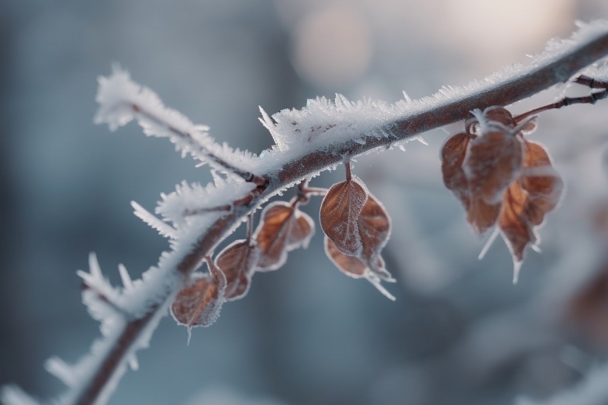 Τα ζώδια σήμερα 11/1: Η μέρα θέλει αυτοσυγκράτηση