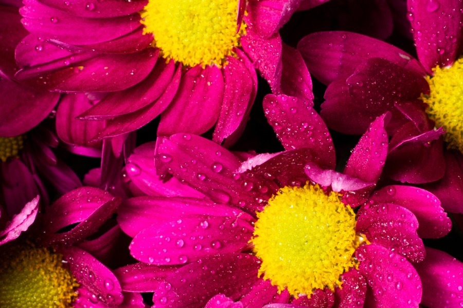 Τα ζώδια σήμερα 1/3: Σήμερα χρειάζεσαι καθαρό τοπίο