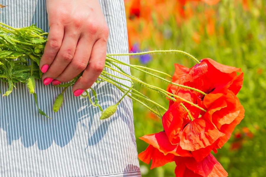 Πρωτομαγιά 2026: Τι ισχύει για αργία, απεργίες, καταστήματα και αμοιβές