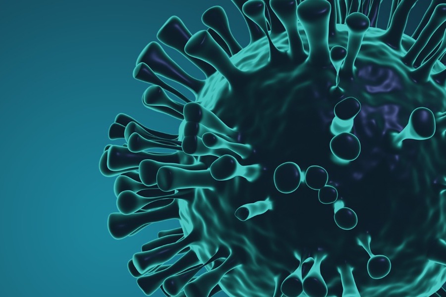 Ισπανία: Ειδοποιεί τον ΠΟΥ για μετάδοση παραλλαγής του ιού της γρίπης των χοίρων στους ανθρώπους