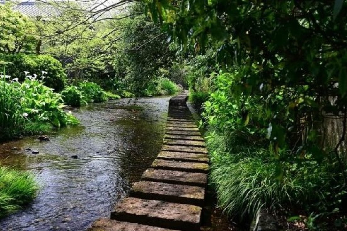 Ιαπωνία: Μητέρα εγκατέλειψε το παιδί της στο βουνό επειδή ήταν άτακτο