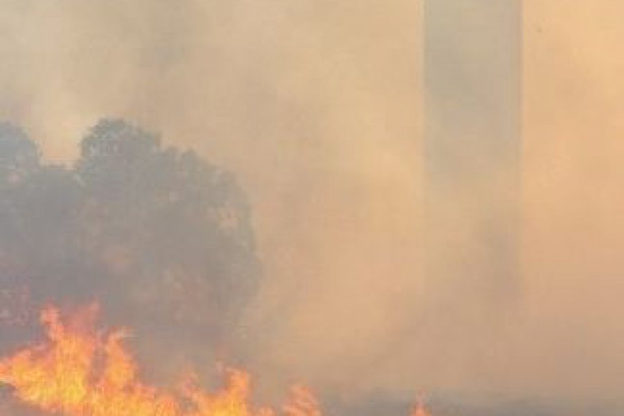 Ελληνική Πνευμονολογική Εταιρεία: Προσοχή στον καπνό και τα αιωρούμενα σωματίδια
