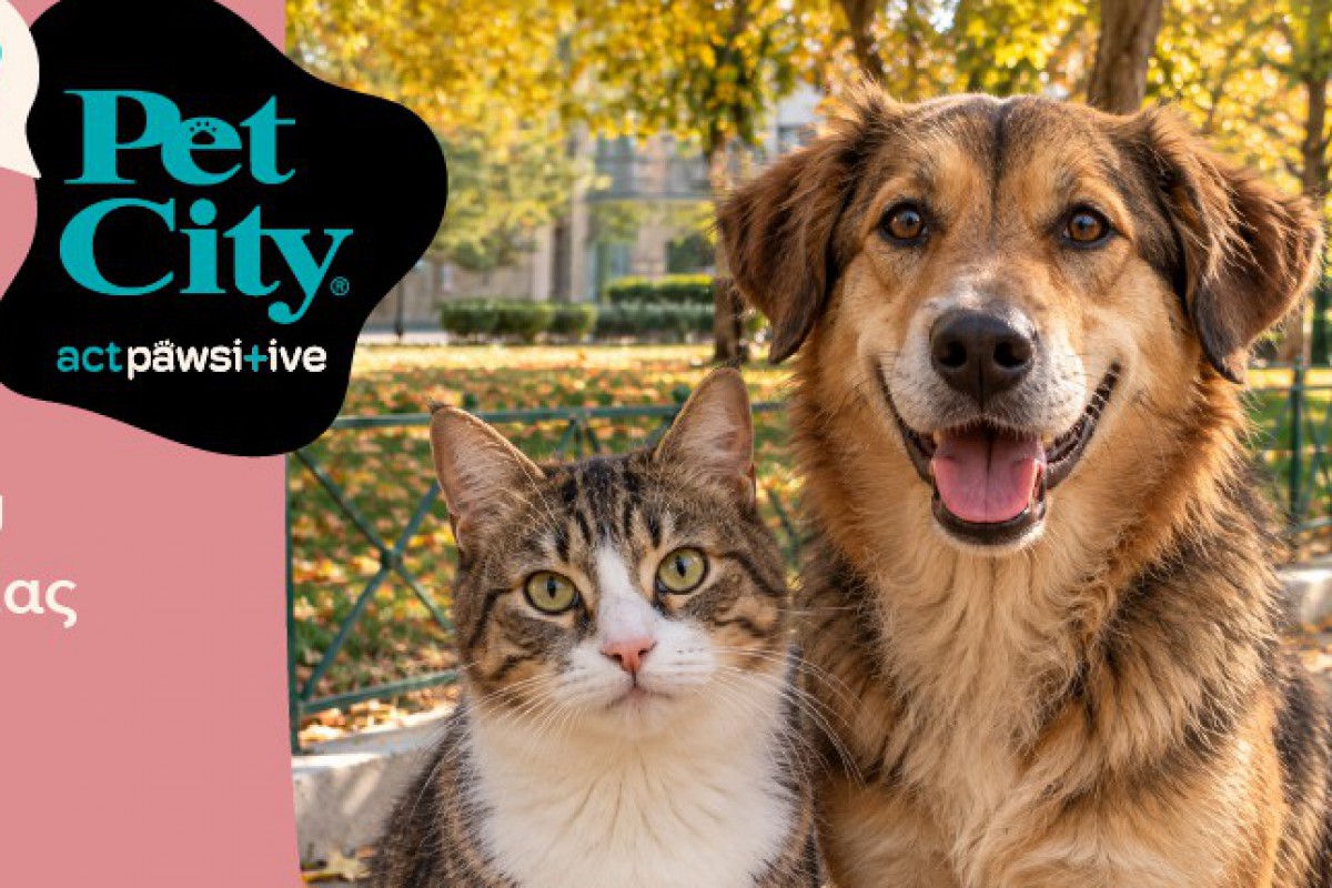 Pet City: 9 αδέσποτα βρήκαν σπίτι στις Ημέρες Υιοθεσίας σε Αθήνα, Θεσσαλονίκη και Πάτρα
