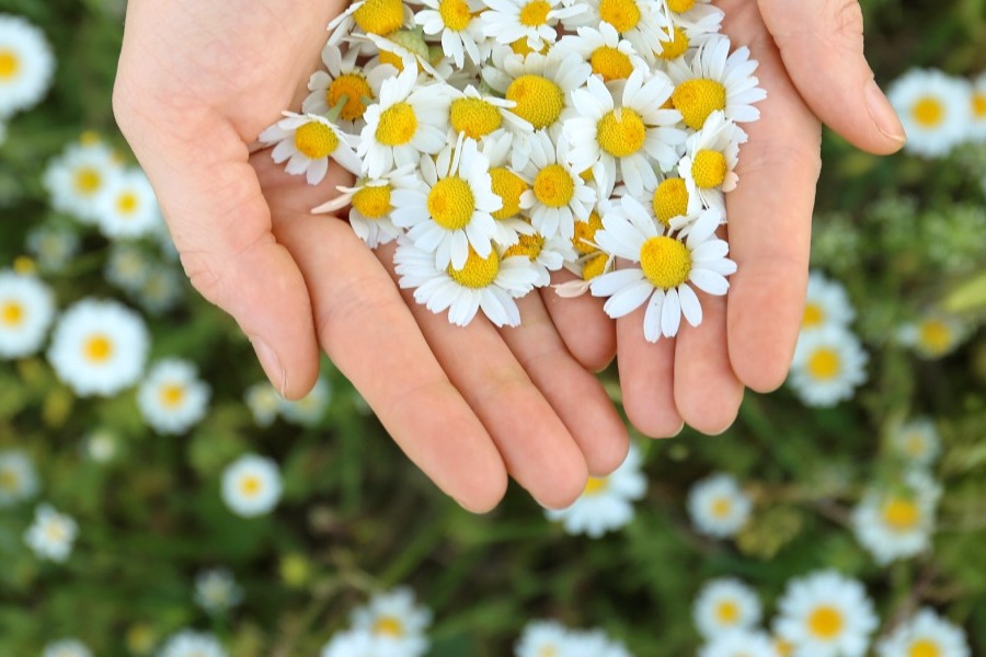 Τα ζώδια σήμερα 16/3: Το ζώδιο που θα δει κάτι να ξεκαθαρίζει σήμερα