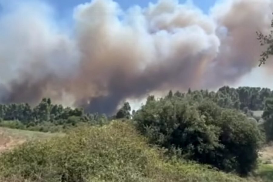Φωτιά μεγάλης έκτασης στη Σίβηρη Χαλκιδικής: Μηνύματα του 112 για εκκένωση σε 2 περιοχές – Το μέτωπο φτάνει τα 3 χιλιόμετρα