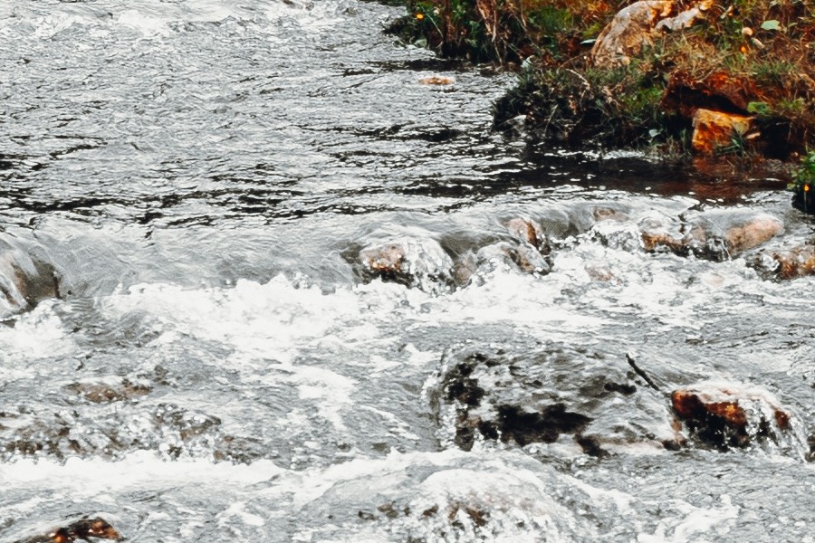 Έβρος: Αγωνία για την αύξηση της στάθμης του νερού