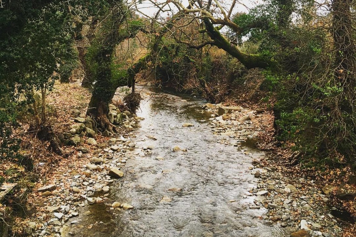 Το χωριό‑φάντασμα της Ελλάδας που εγκαταλείφθηκε, αλλά κάτι εκεί δεν σταμάτησε ποτέ να λειτουργεί