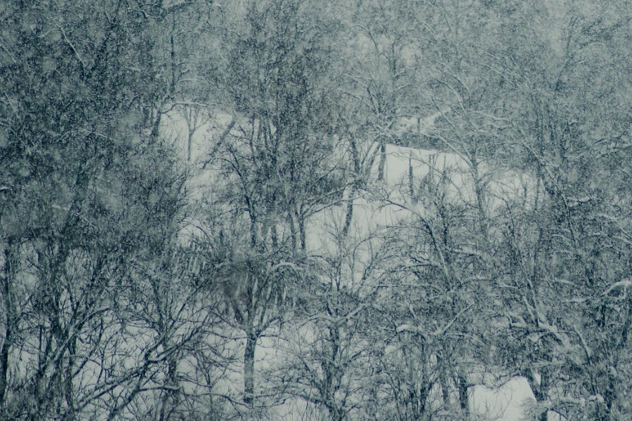 Ψυχρή «εισβολή» από σήμερα – «Βουτιά» 8 βαθμών – Τα ύψη των χιονοπτώσεων