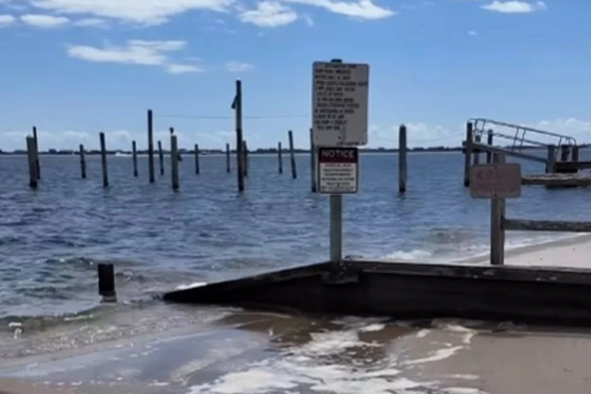 Συναγερμός στη Νέα Υόρκη για σαρκοφάγο βακτήριο στα νερά του Long Island – Μπορεί να προκαλέσει θάνατο σε 48 ώρες