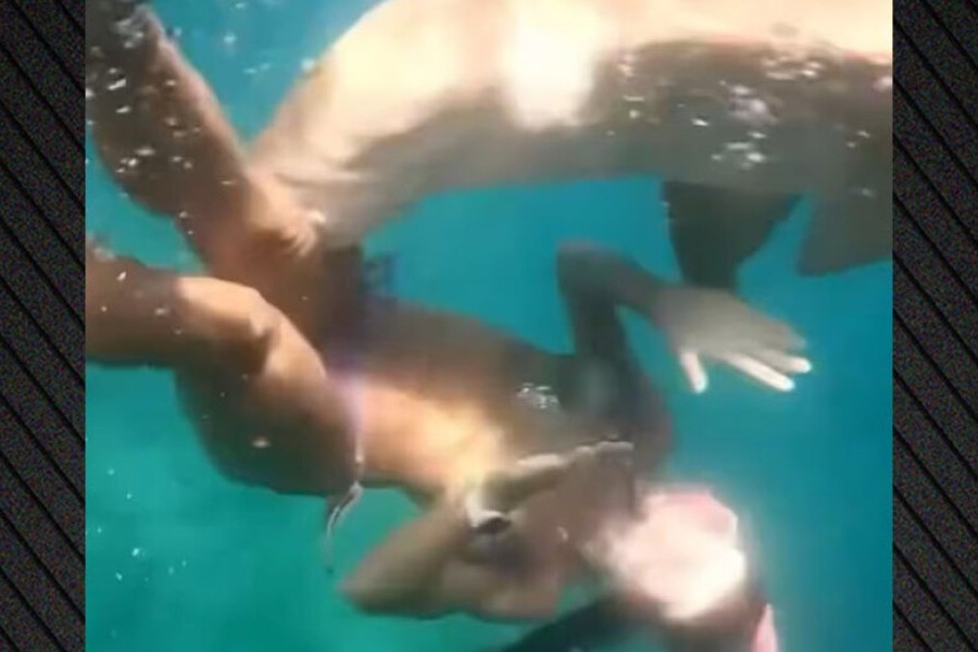 Αγρια επίθεση καρχαρία σε γυναίκα στη Βραζιλία: «Ήξερα ότι με είχε δαγκώσει», δείτε βίντεο