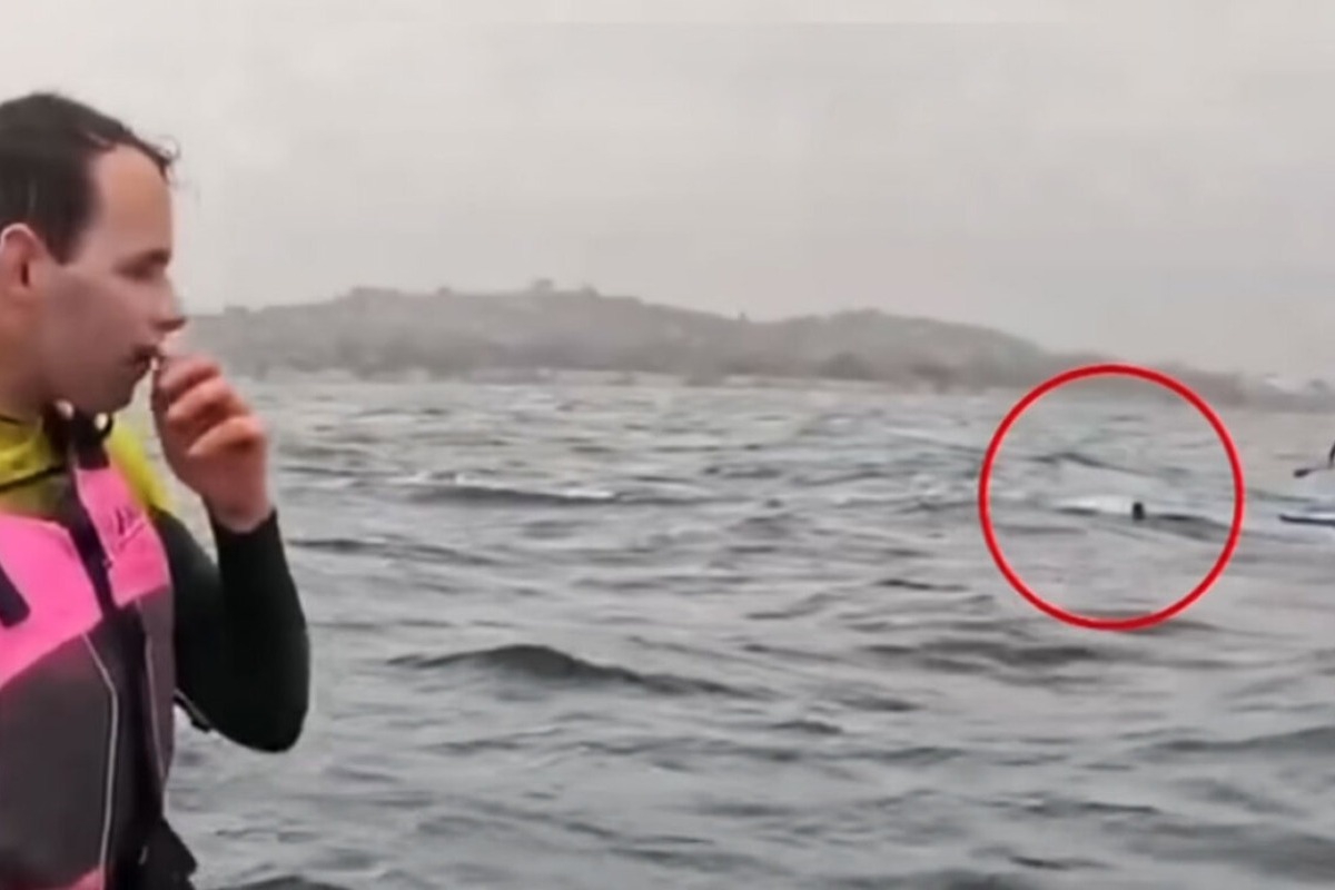 Συγκλονιστικό βίντεο: Η τρομακτική στιγμή που καρχαρίας καταδιώκει σέρφερ στην Καλιφόρνια