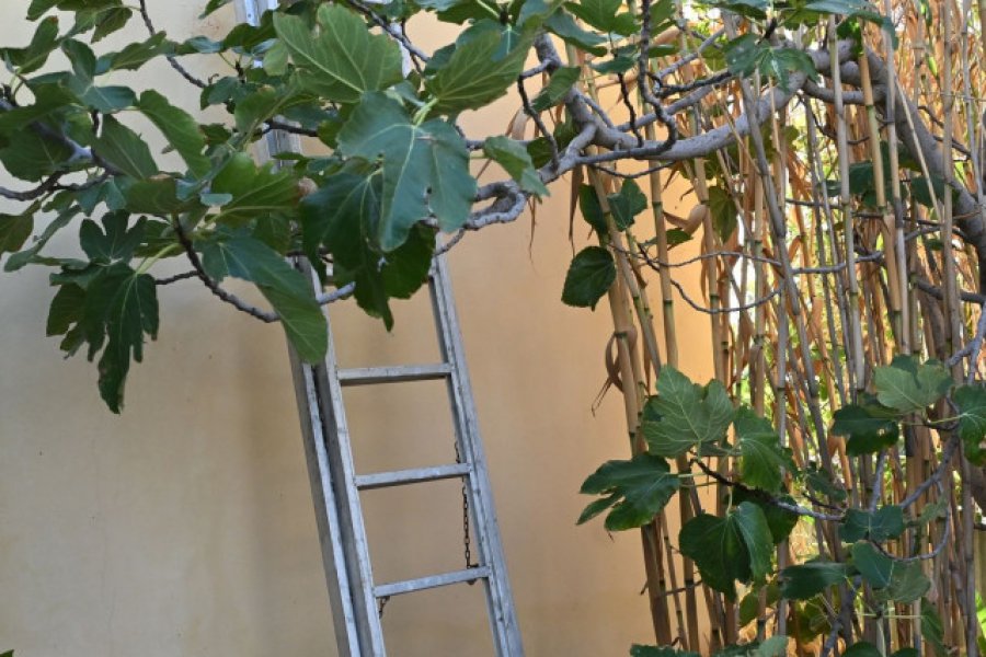 Λαύριο: Σε σοβαρή κατάσταση οι 2 τραυματίες μετά την επίθεση του 32χρονου ‑ Χειρουργήθηκε ο 33χρονος