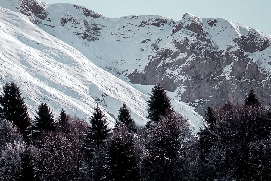 Τα ζώδια σήμερα 11/2: Η μέρα σε καλεί να προστατεύσεις την ενέργειά σου