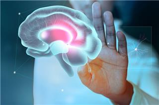 Η καθημερινή ρουτίνα που δουλεύει σαν «ασπίδα» για τον εγκέφαλο